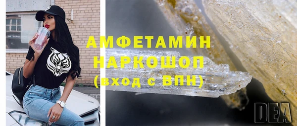шишки Арсеньев