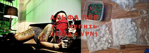 шишки Арсеньев