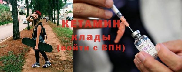 шишки Арсеньев